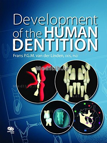 Development of the Human Dentition