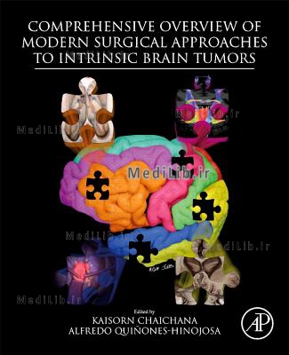 Comprehensive Overview of Modern Surgical Approaches to Intrinsic Brain Tumors