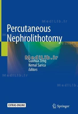 Percutaneous Nephrolithotomy