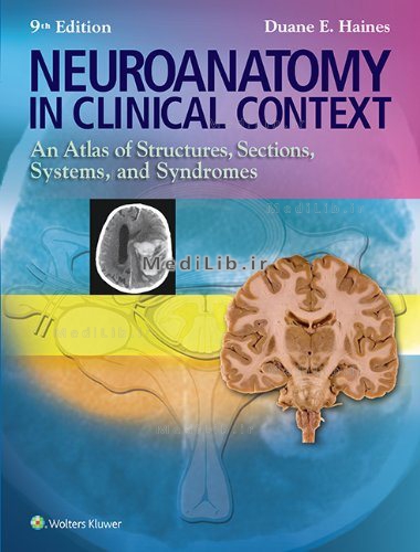 Neuroanatomy in Clinical Context