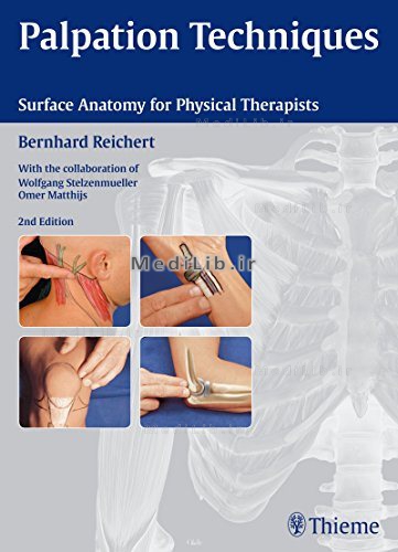 Palpation Techniques