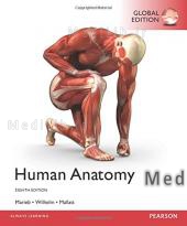 Human Anatomy